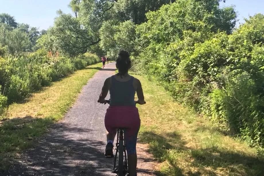 A person riding a bike on a pathway surrounded by greenery.